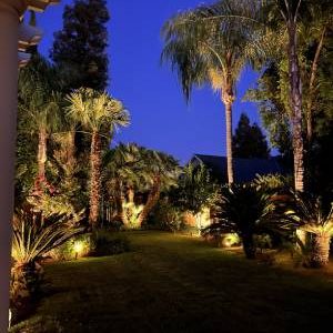 Backyard Lighting Installation